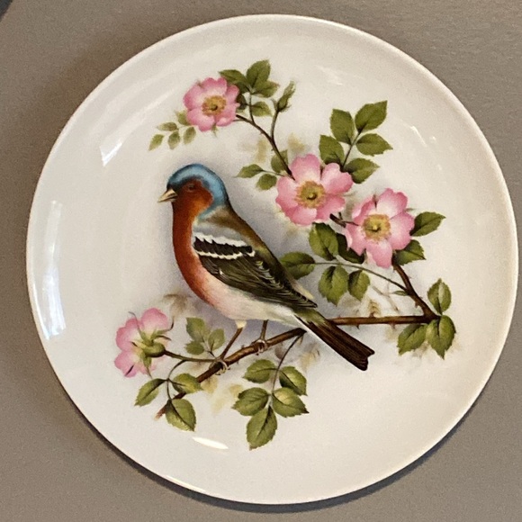 AK Kaiser porcelain, set of 2 decorative plates, bird collectibles - Picture 3 of 8